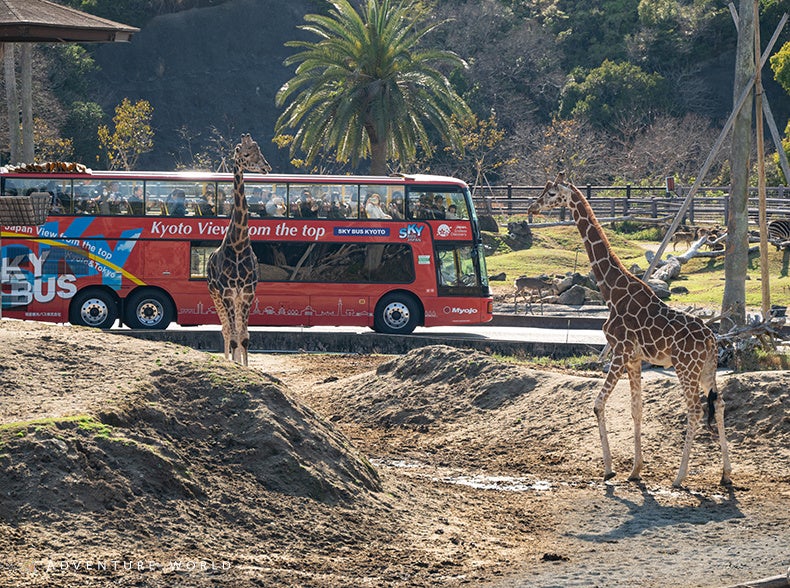 【ブレストンコート ユカワタン】ウドやヤマゼリのほのかな苦みが、鯉や鱒の生命力を引き立てる。「水のジビエ」が描く、春限定のコース提供開始