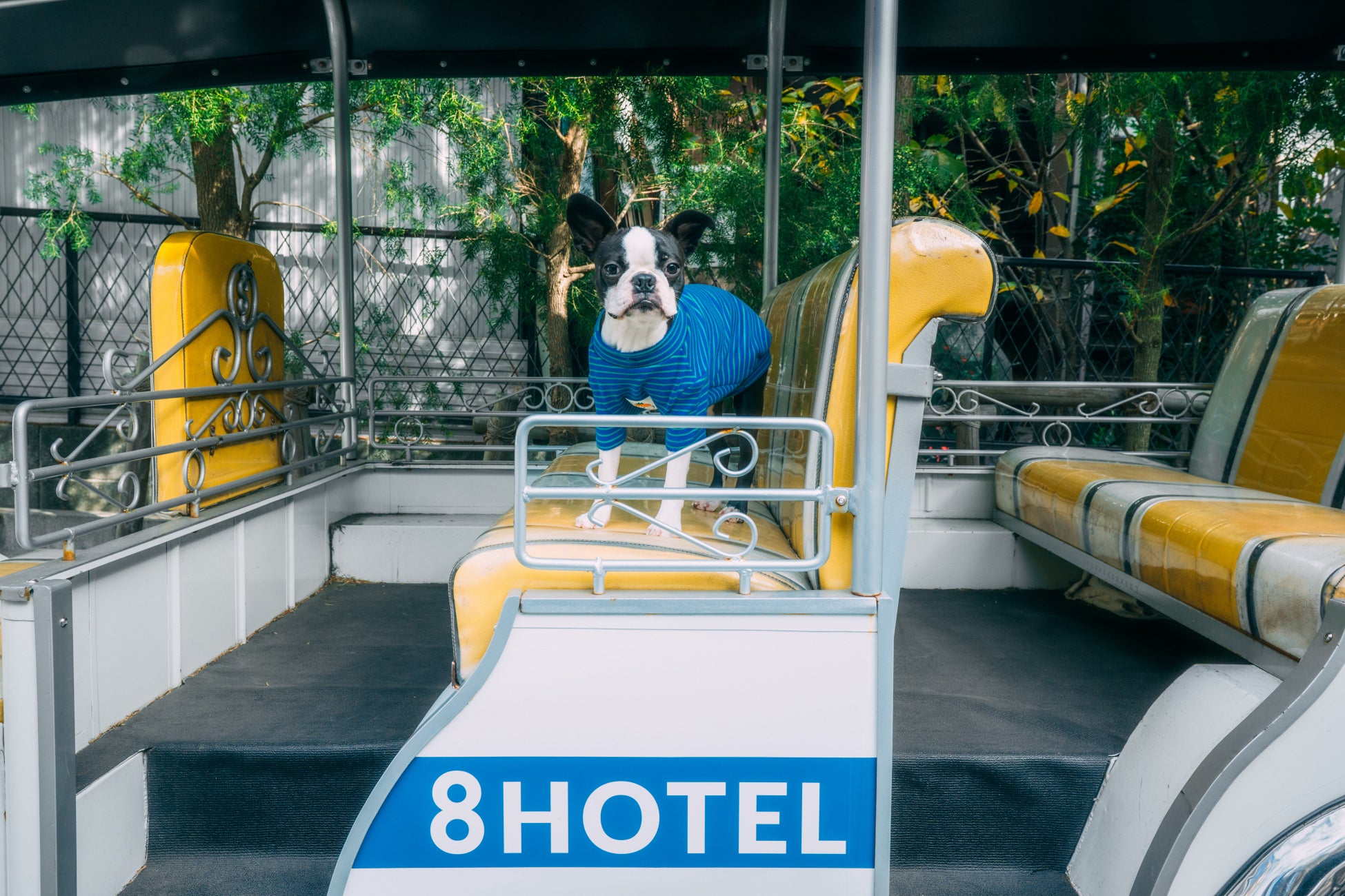 近江の美食と匠の技が集う６日間！「第3７回 琵琶湖夢街道 大近江展」開催