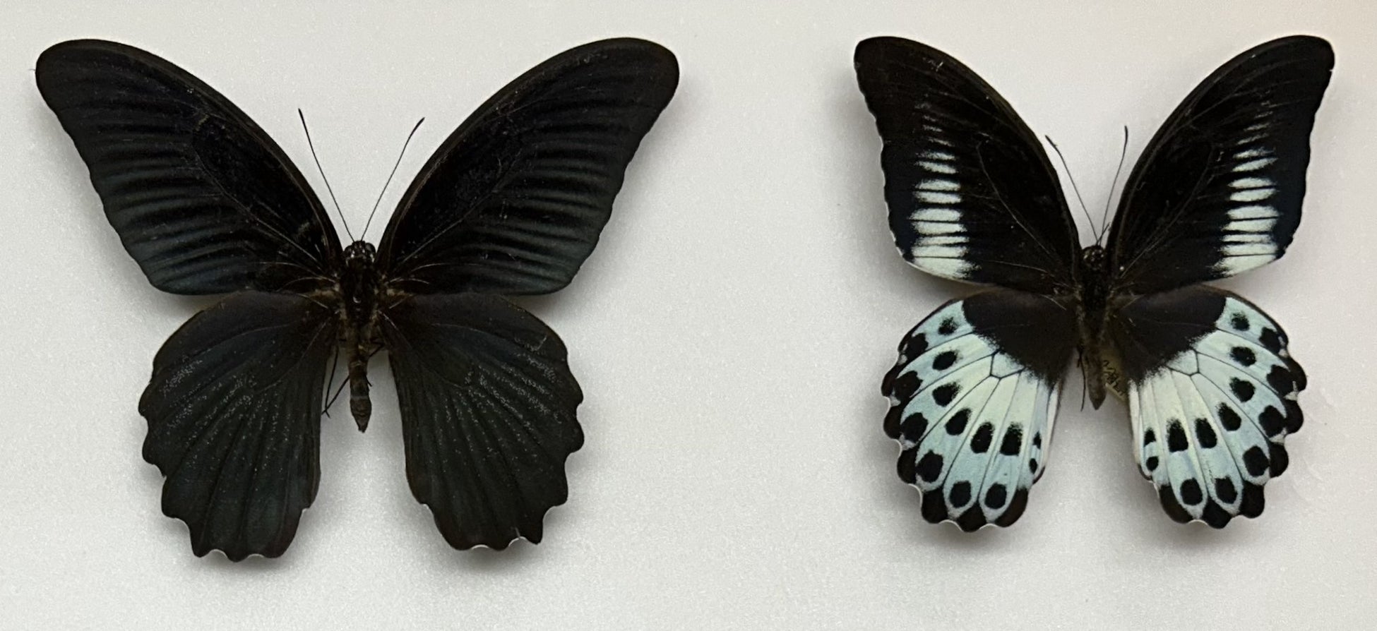 【SCAPES THE SUITE】心と体に向き合い、自分を“切り替える” FOUR SEASONS STAY「ESCAPE & SHIFT」