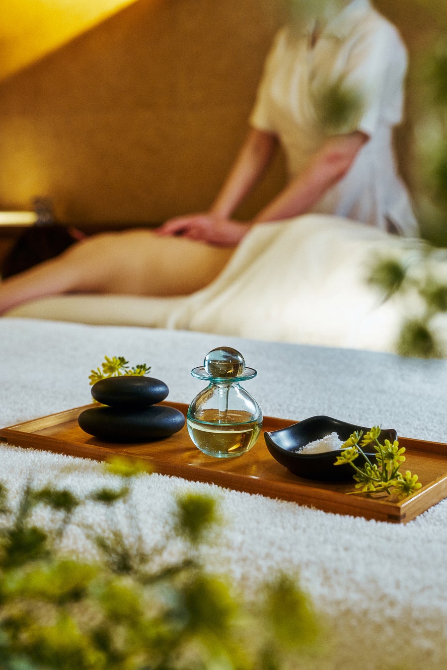 日本固有の香木「クロモジ」の香りで“和のウェルネス”花粉症や心身のゆらぎなど春の不調にアプローチ「クロモジ スプリング リチュアル」が新登場