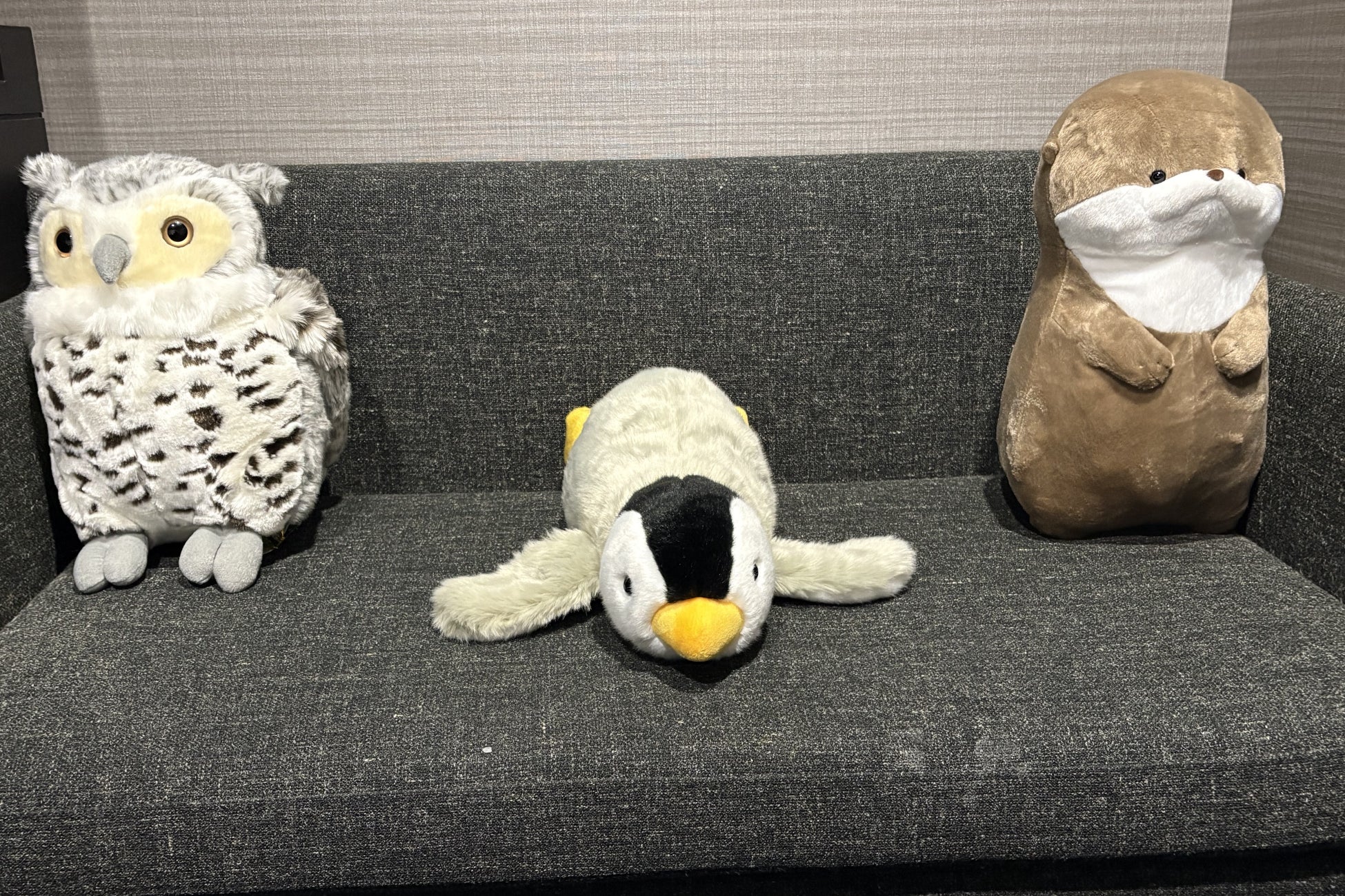 【ホテルグレイスリー那覇】開業10周年記念企画 第2弾　幻想的な“青の世界”「美ら海ルーム」が「DMMかりゆし水族館」と期間限定コラボ