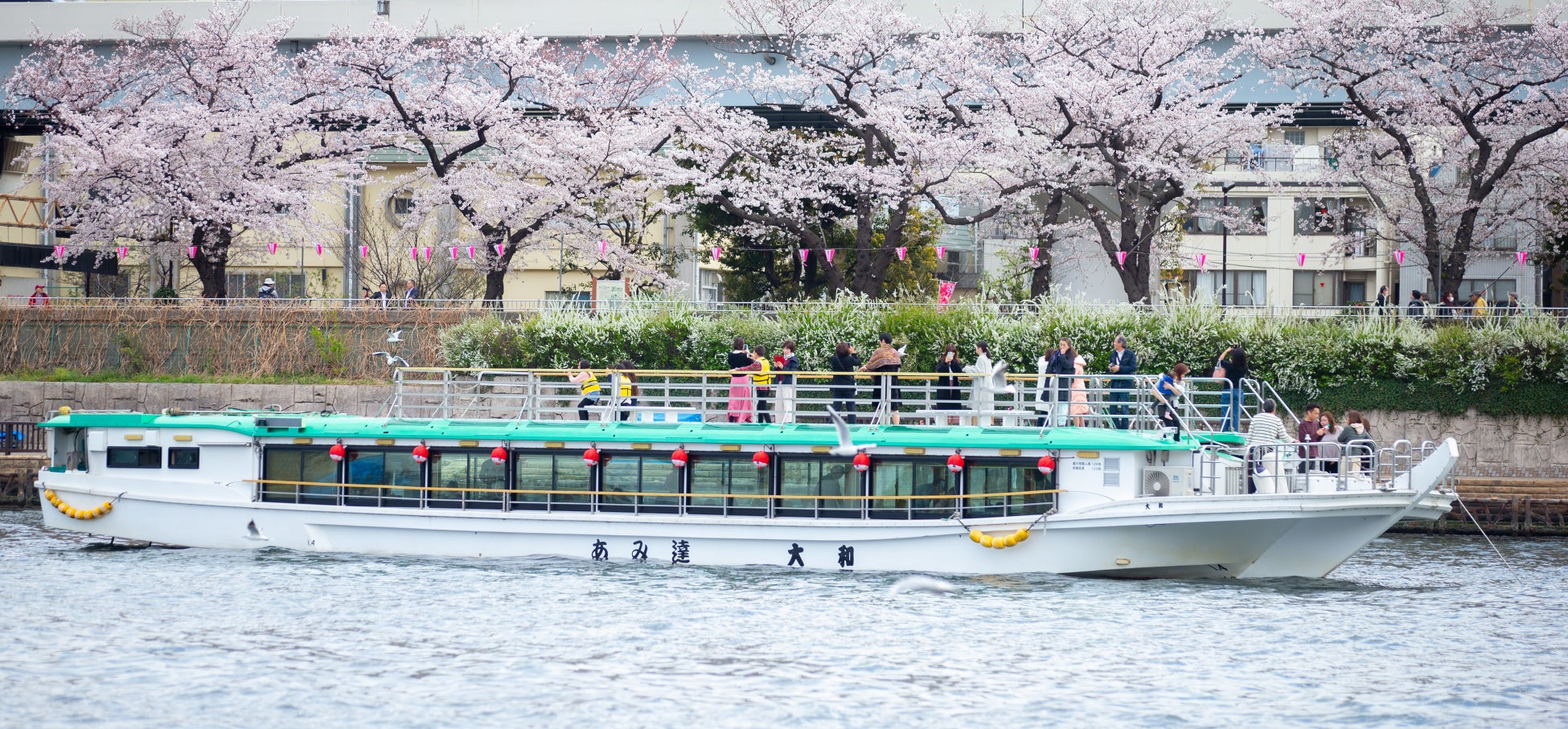 【2026年お花見】屋形船あみ達が「お花見屋形船」の予約受付を開始！混雑を避け、隅田川の桜並木を船上の特等席で