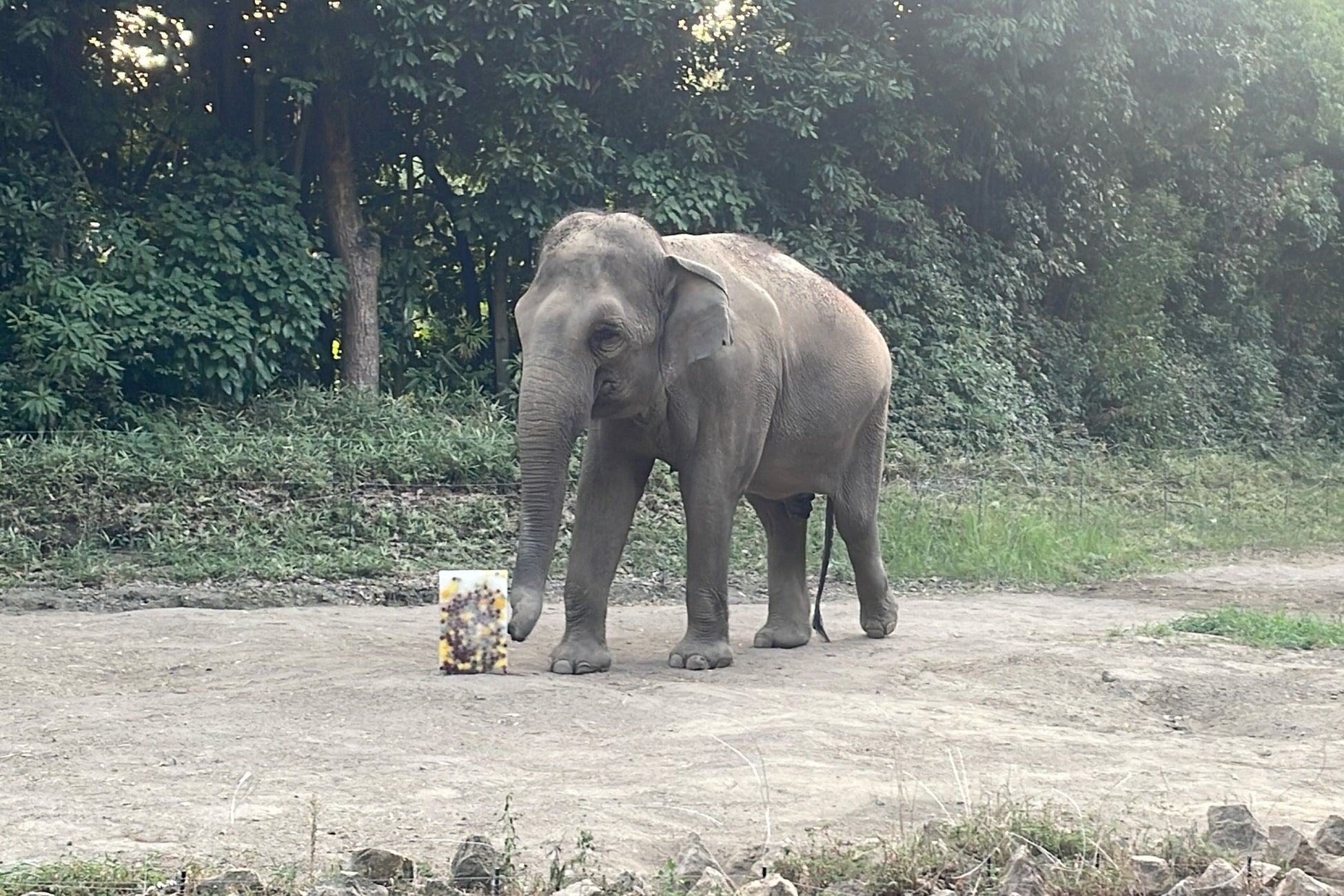 【ザ・カハラ・ホテル＆リゾート 横浜】ホテルの“もったいない”を動物たちの笑顔へ。食品ロス削減と地域循環を推進する取り組みを継続実施