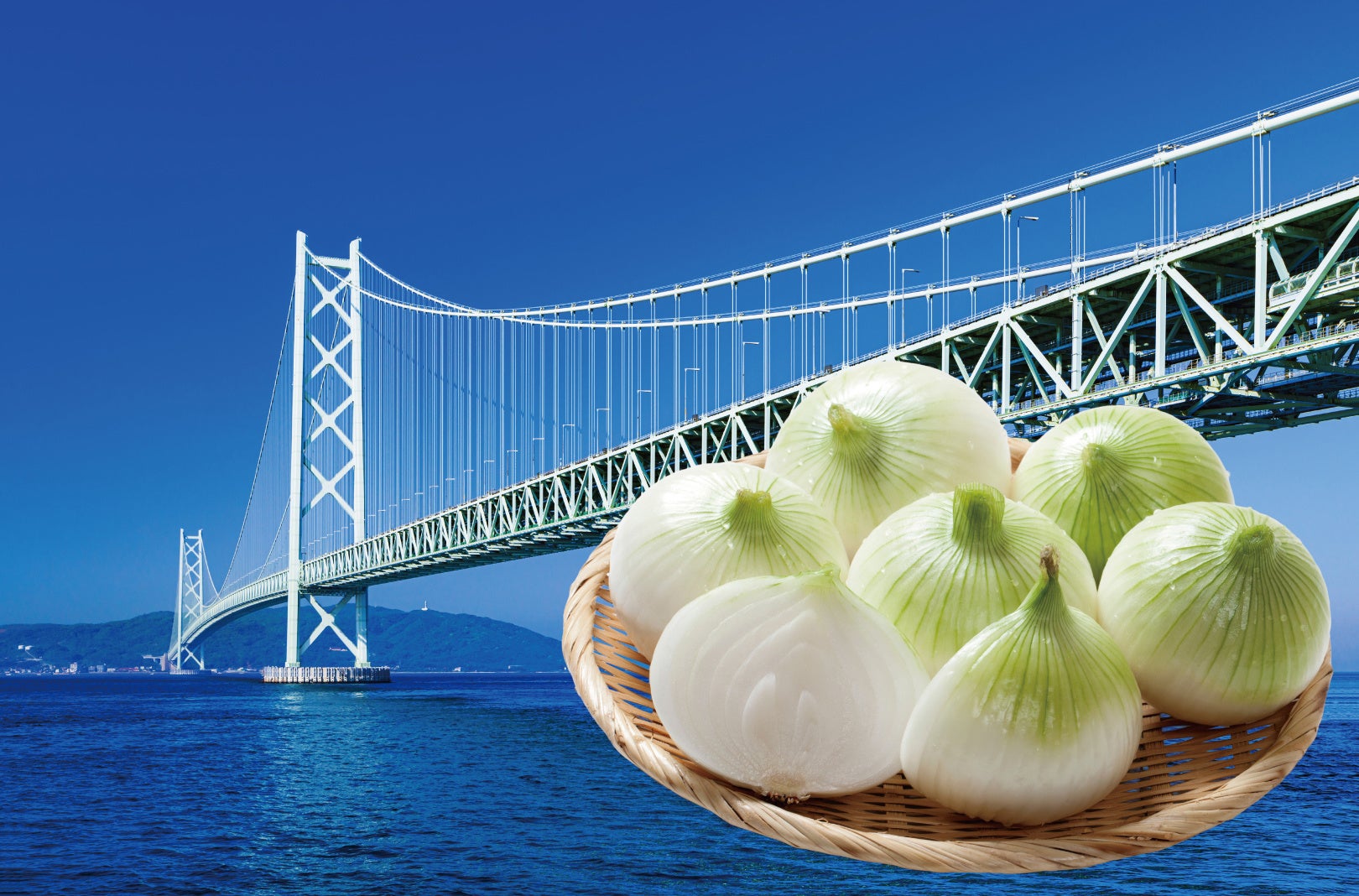 明石海峡大橋直結の淡路ハイウェイオアシスで「春！ヨロコビ新玉ねぎフェス ー淡路からお福わけー」開催！！― 春の訪れと淡路島の旬を“楽しむ・味わう・触れ合う”体験型イベント ―