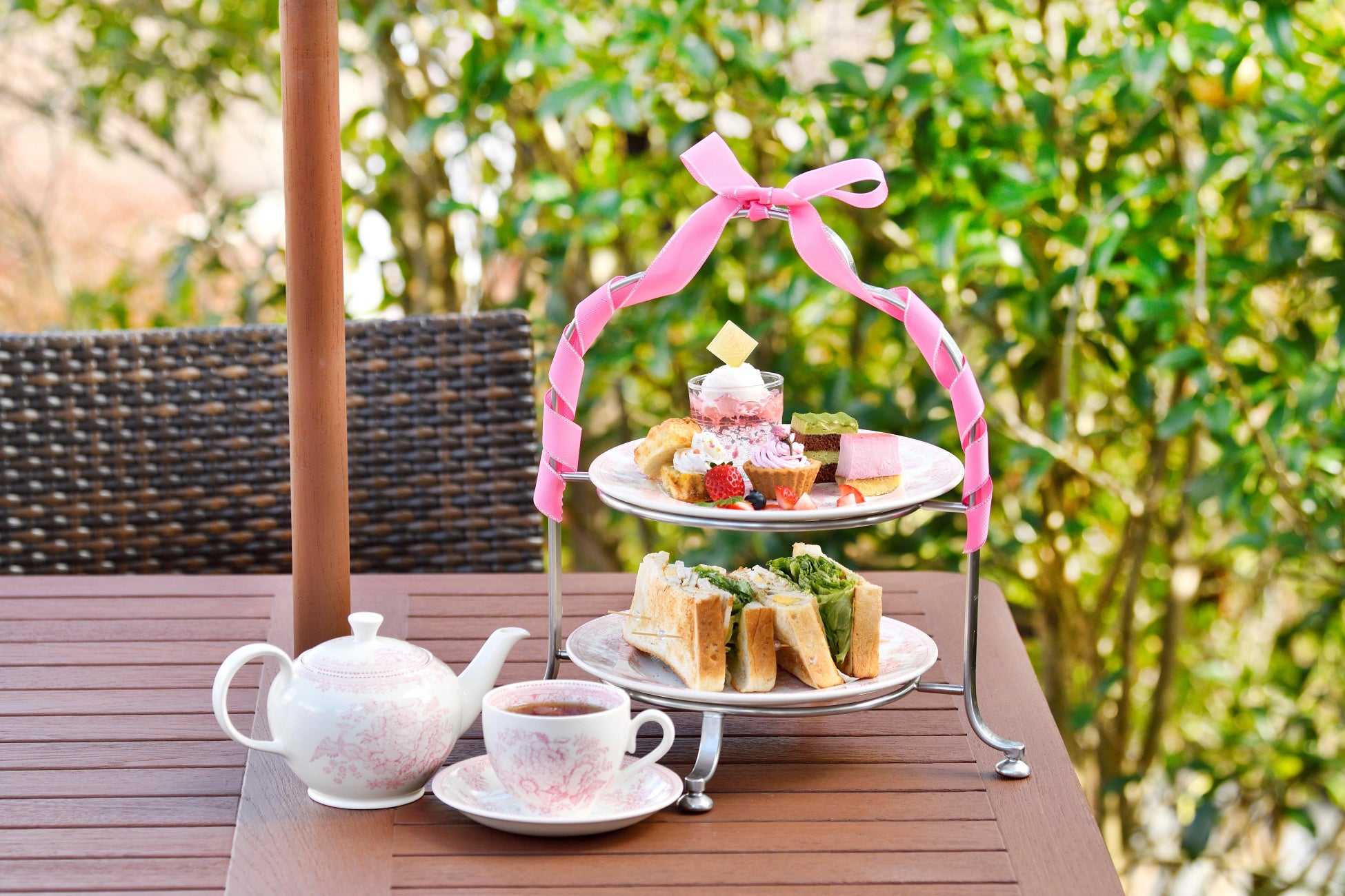 箱根強羅公園で春を満喫！