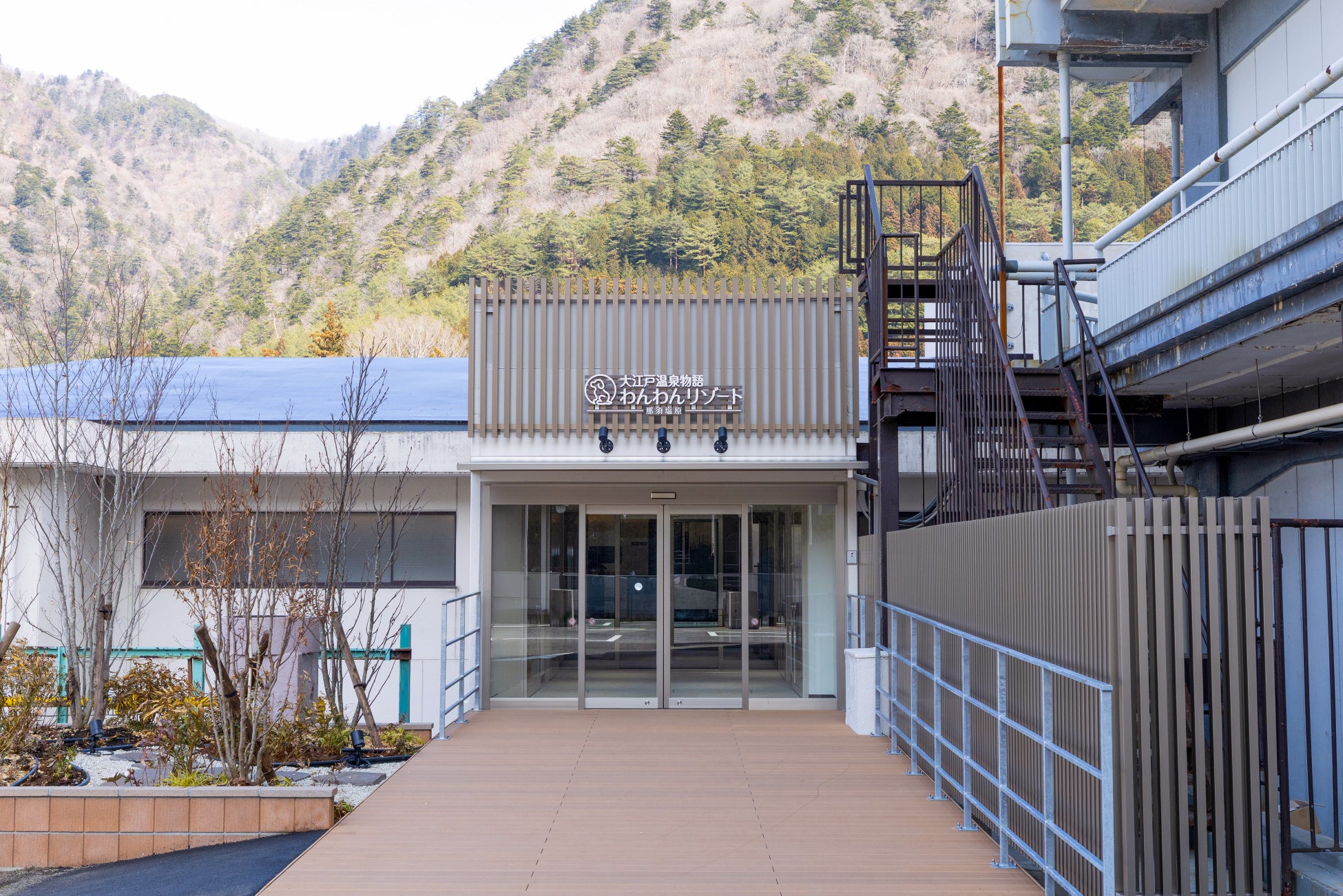 ネモフィラの開花予想2026版を公開しました（国営ひたち海浜公園）