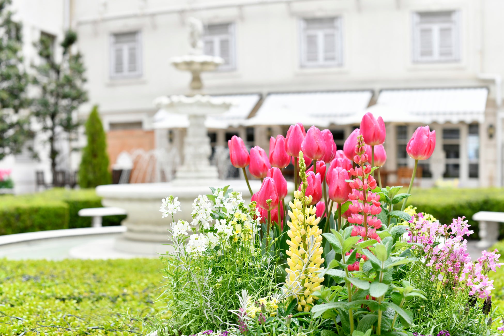 【毎年大盛況！】「第10回航空ファンミーティング “AIRLINE EXPO IN JAPAN”」開催します！