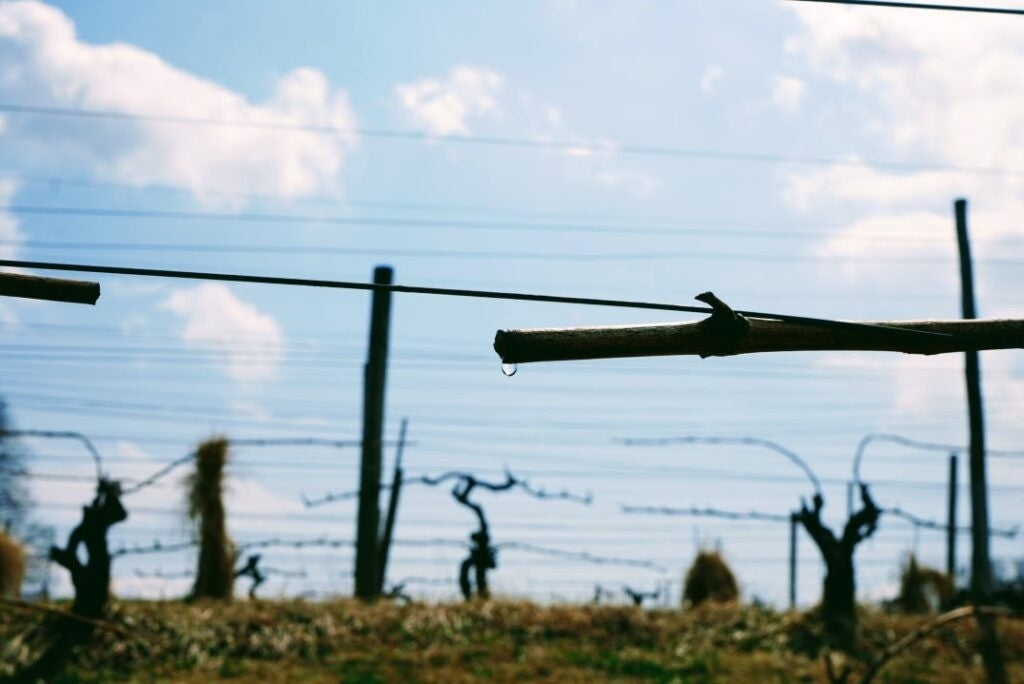 【山中湖の絶景グランピング「LE NIDO」】富士山を望むプライベート空間をより身近に。U30割引・グループ1名無料・ファミリー応援など、春の宿泊プランを順次販売開始！