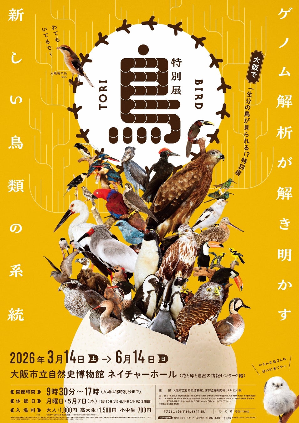 ことりすまいる、特別展「鳥」公式トリバサダーに就任！