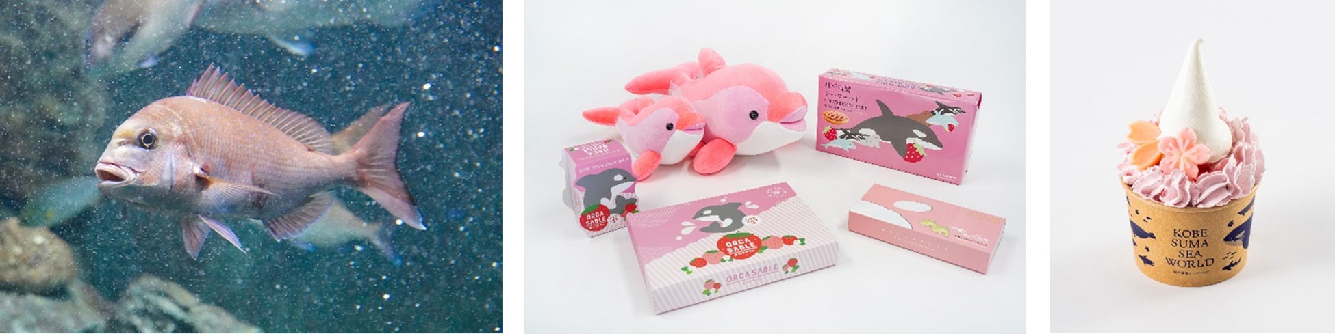 【フェニックス・シーガイア・リゾート】春とゴールデンウィークを彩る体験型リゾートイベント開催