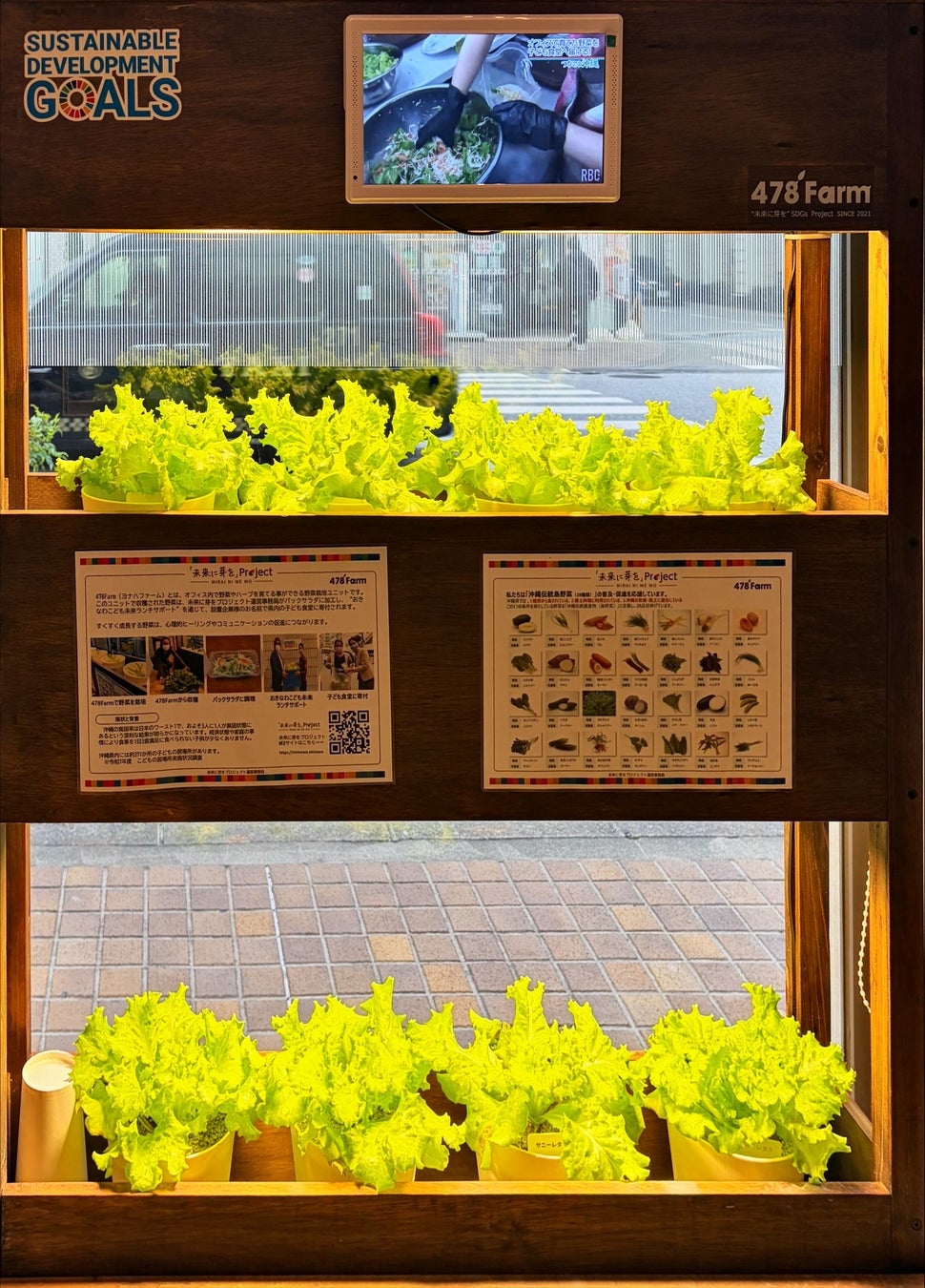 【コンフォートホテル那覇県庁前】「未来に芽を」プロジェクト478Farmに参加