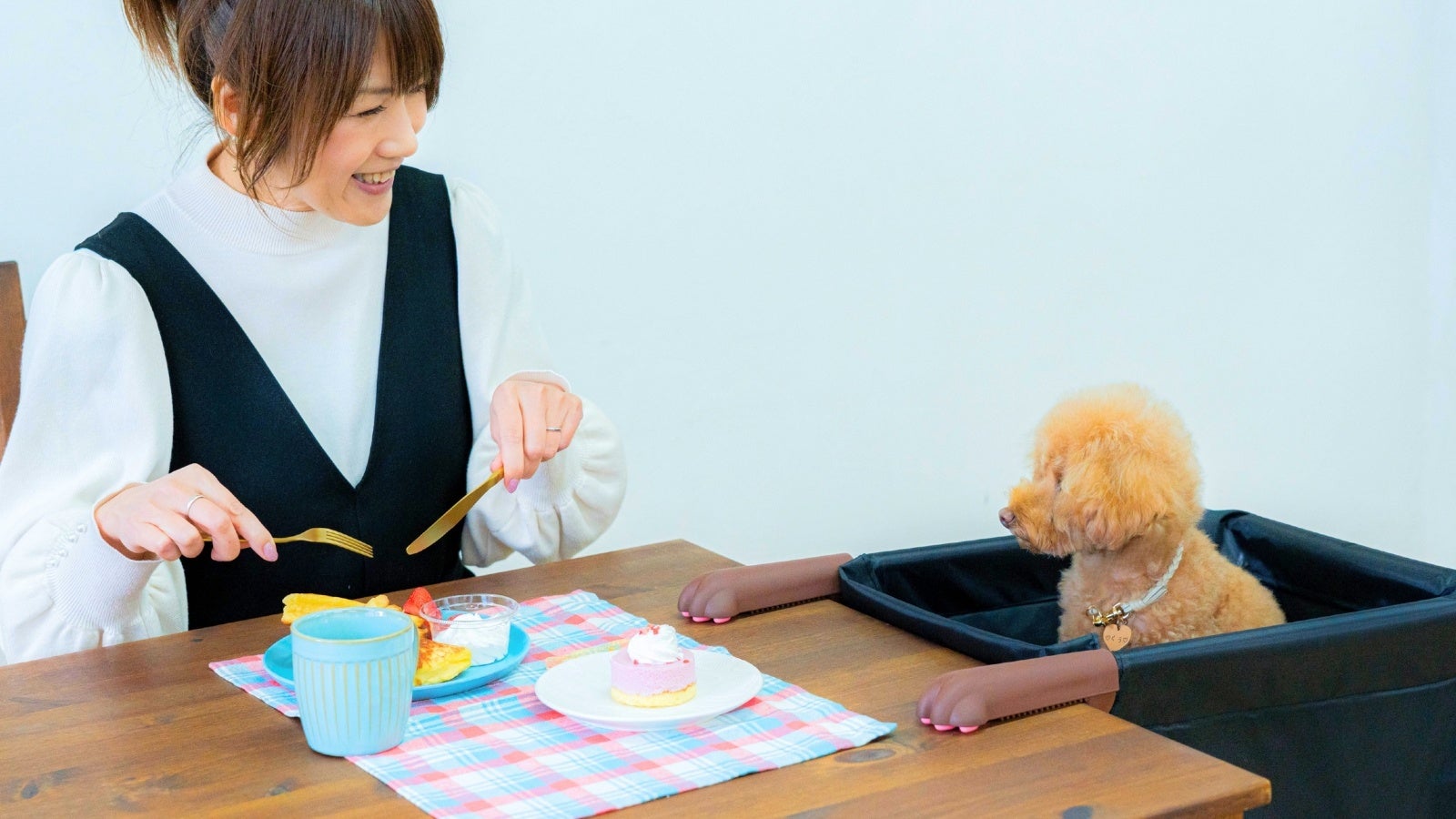 大阪発！ 食卓に“肉球”が出現！？ 愛犬・愛猫と同じ目線で食事を楽しむ「肉球アームのペットチェア」クラウドファンディング開始6時間で目標突破