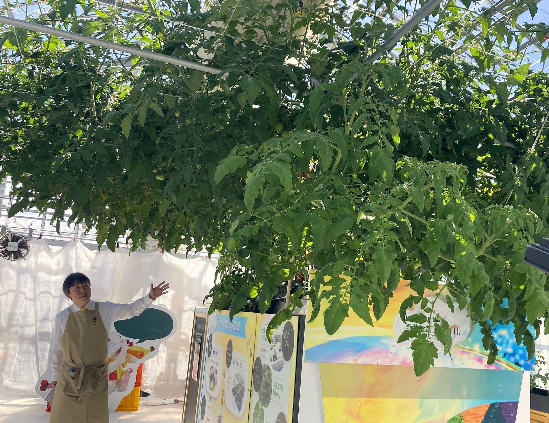 「カゴメ野菜生活ファーム富士見」 3月7日（土）今季の営業をスタート！　大きく育ったトマトの樹とリニューアルした施設を公開