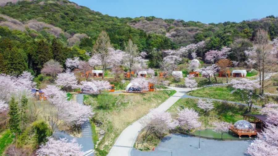 【茨城・土浦アウラテラス茨城】20％OFFセールやお花見グランピングに彩りを添える「練り切りとお茶」の春色セットも新登場！更に待望うの新客室も仲間入り♪盛りだくさんの春をお届け！