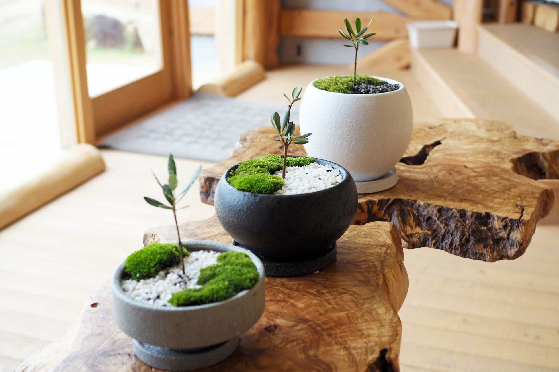 Airbnbコミュニティ基金、世界各地の130を超える非営利団体に約1000万ドルを寄付。日本では、日本では、地域社会や次世代の育成に貢献する団体へ