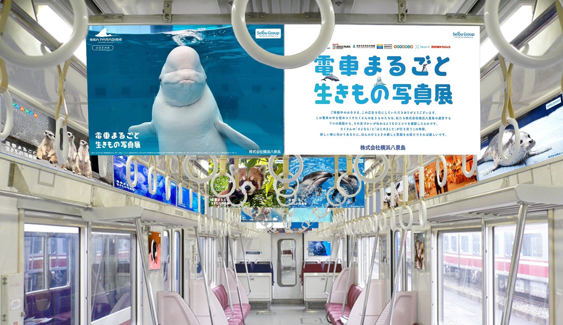 【株式会社横浜八景島】７つの水族館・動物園・遊園地から癒しをお届け！株式会社横浜八景島『電車まるごと生きもの写真展』