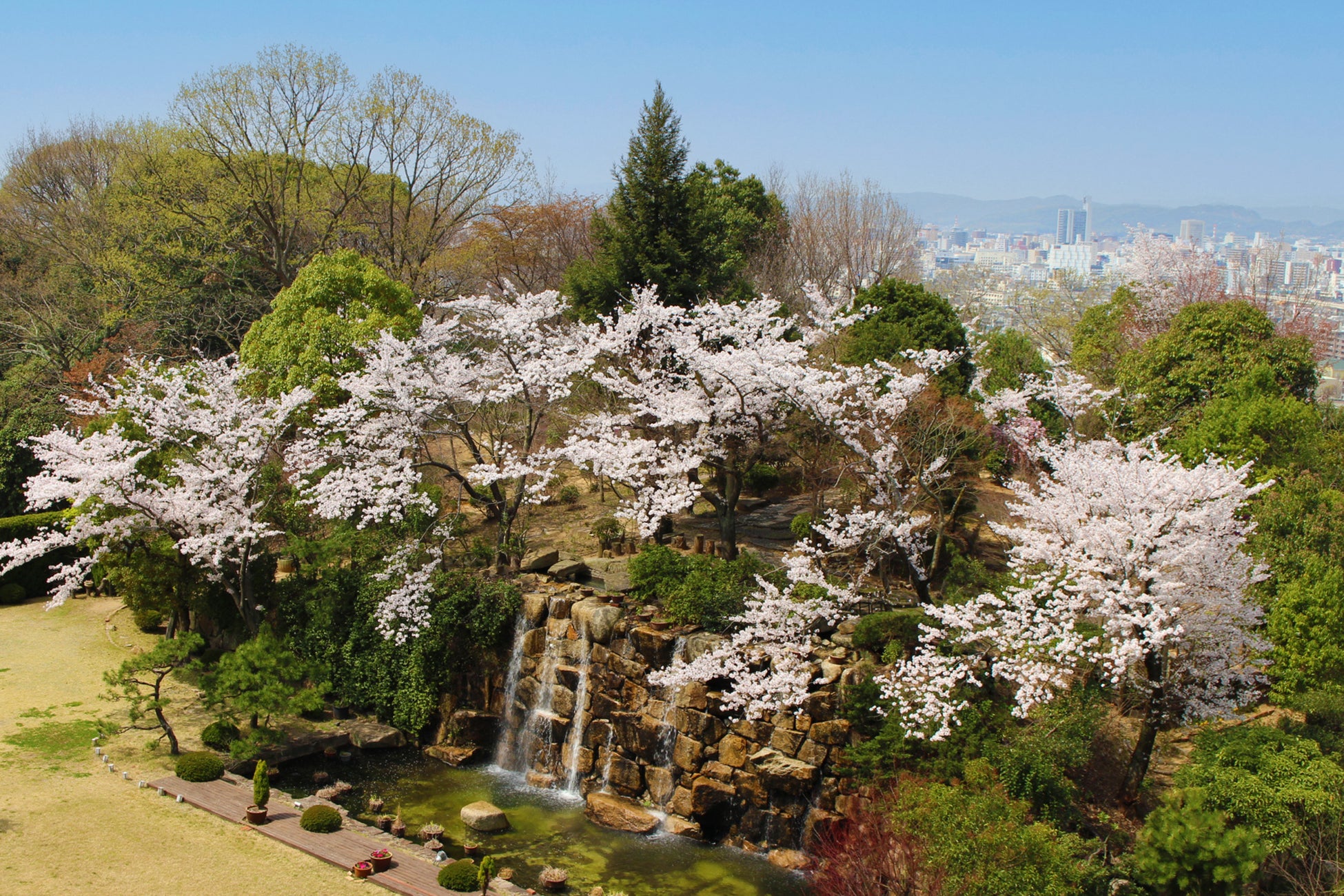春爛漫、丘の上の特等席～五感で愉しむ岡山国際ホテルの春～