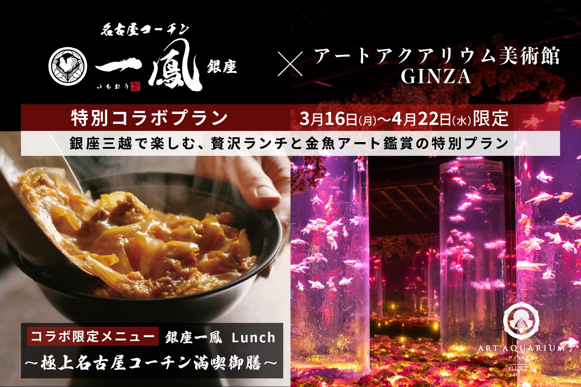 銀座三越で過ごす、春のおでかけ 名古屋コーチン一鳳 銀座×アートアクアリウム美術館 GINZA