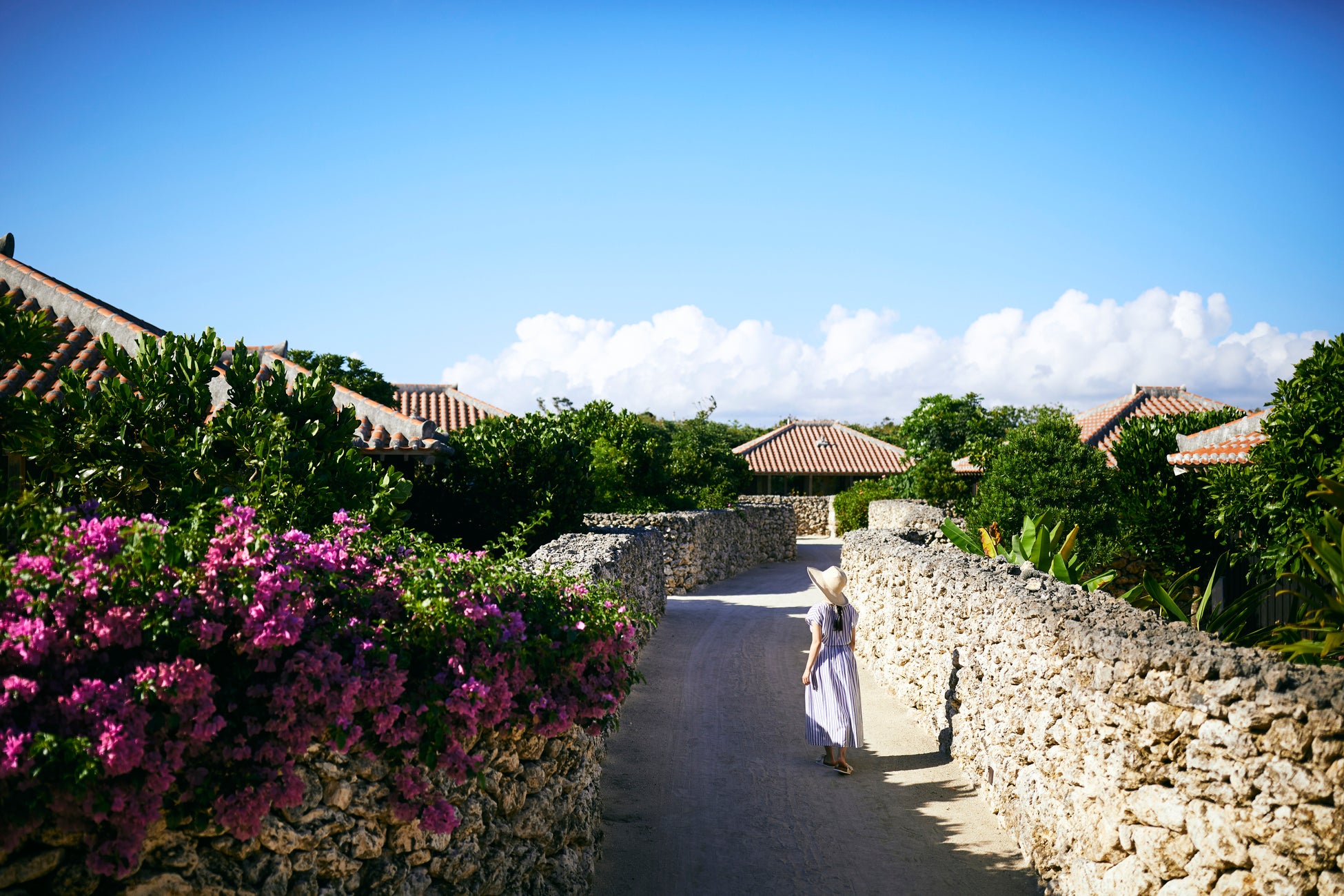 海老専門店”海老乃家”から1匹の天然海老を1日漬け込んだ 丸ごと海老ジャーキーの新フレーバーを2種同時発売！