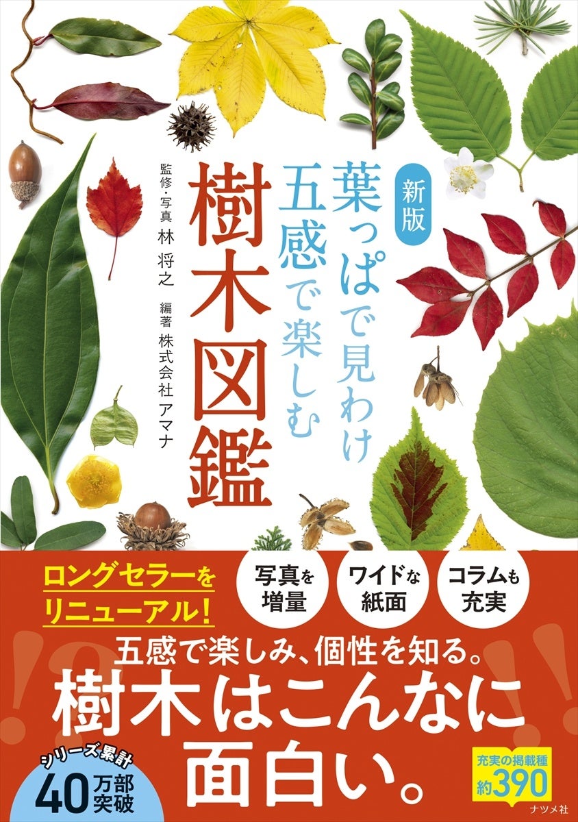 好評のロングセラー本をリニューアル『新版  葉っぱで見わけ五感で楽しむ樹木図鑑』が3月18日発売！