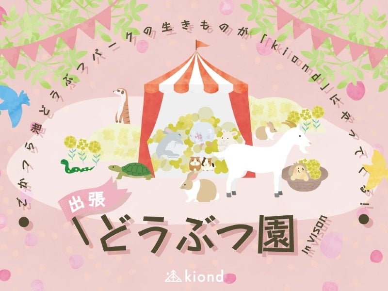 ホテルバーを“行きつけ”にする贅沢。「山崎12年」「白州12年」を嗜む”大人の定額制パスポート”誕生