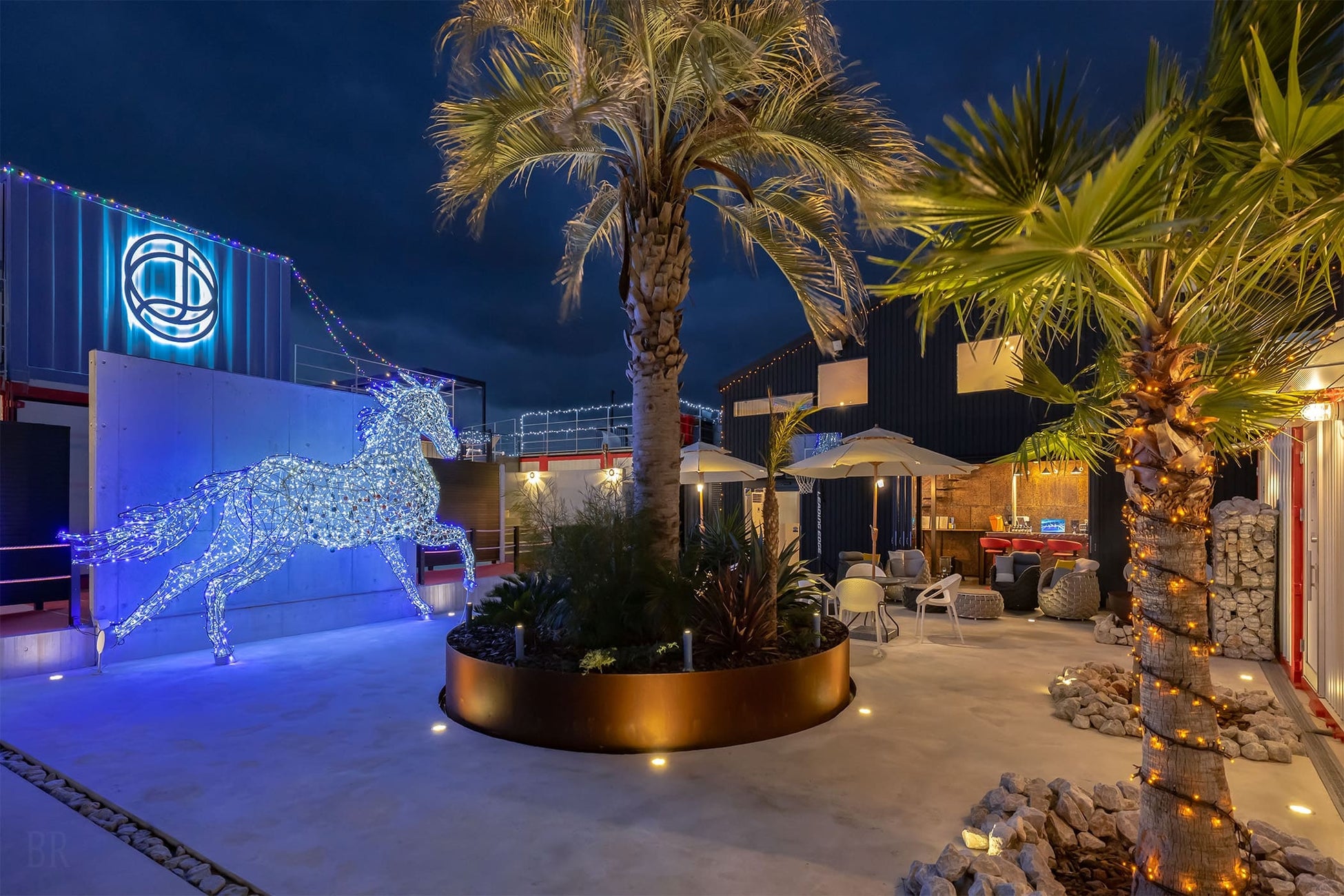 【勝尾寺】インバウンド／国内参拝者向け特別フォトスポット設置！昨年のWDCに続き、今年は『WHERE DO YOU COME from？』がテーマ。『#darumacan』『#ダルマ缶』