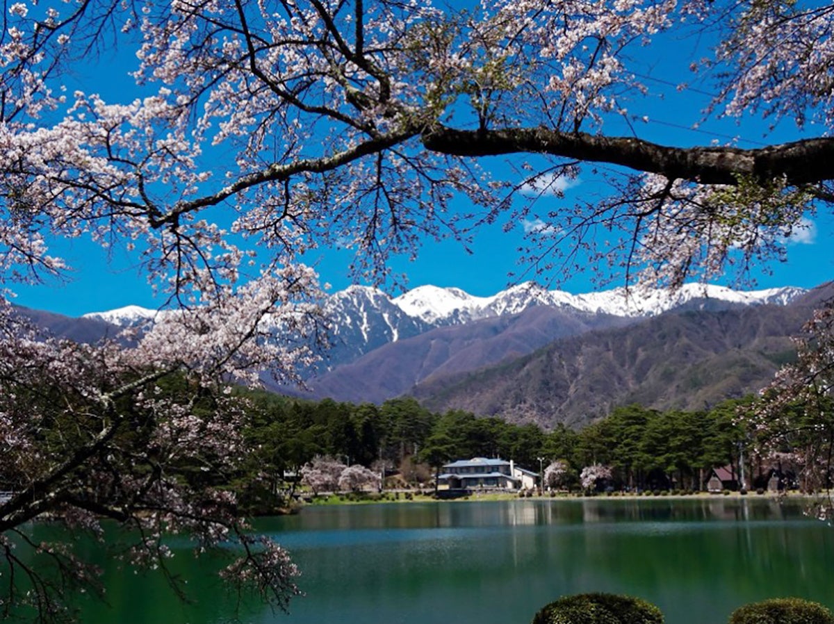 春旅行にはグランピング！アルプスBASEで“春満開”お花見＆ビューティ体験！女子旅プラン、アロマワークショップ、スイーツプレゼント実施