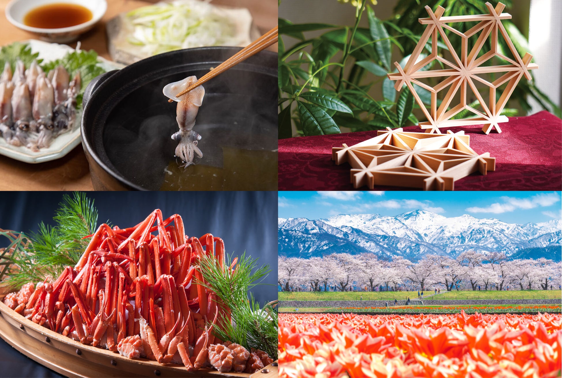 春の富山を満喫。ホタルイカと紅ズワイガニの美食体験と伝統文化に触れる、オールインクルーシブの滞在提案【メルキュール富山砺波リゾート＆スパ】