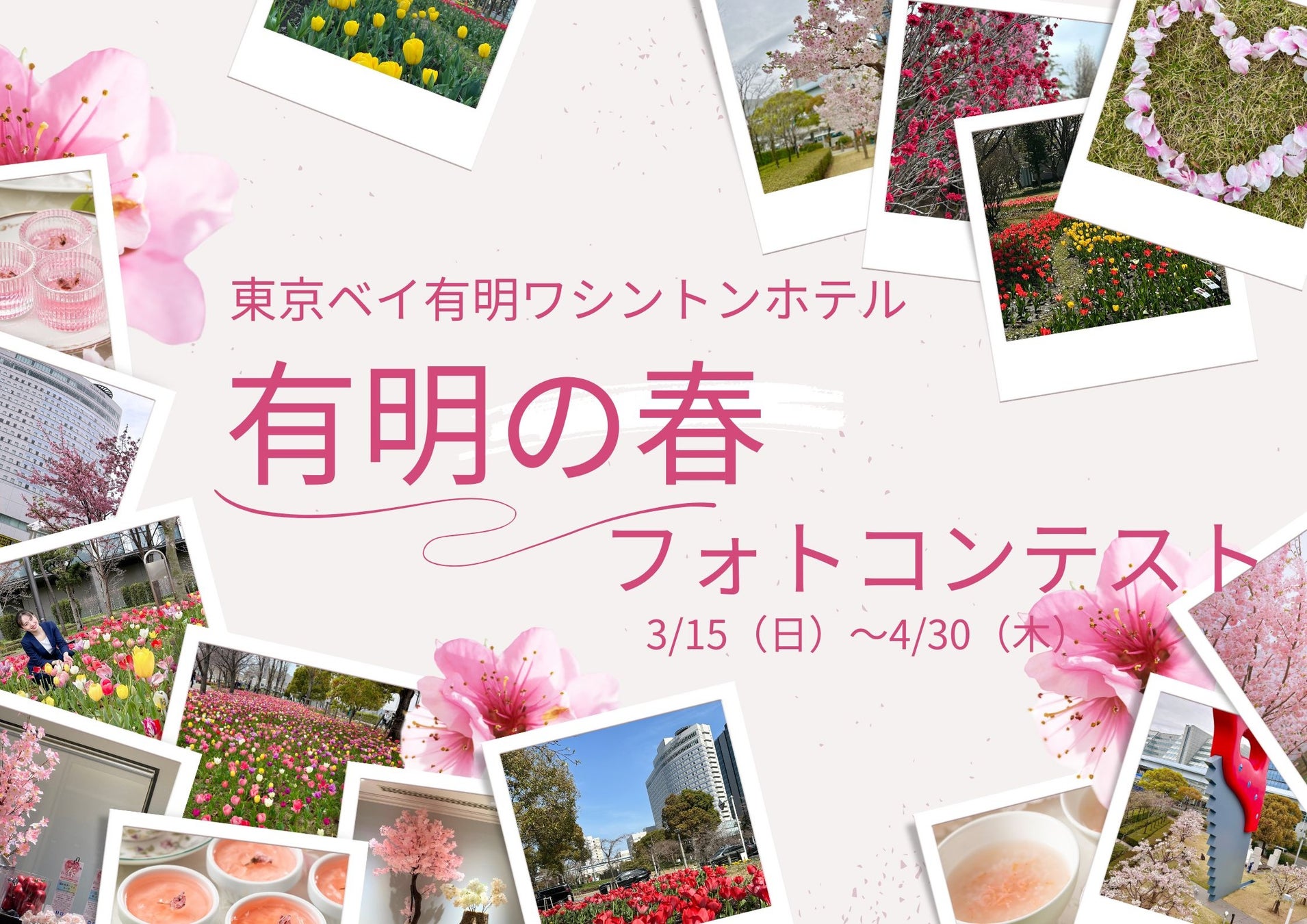 名古屋お土産菓子、あんことバターのハーモニー「アンバタール」が新発売！