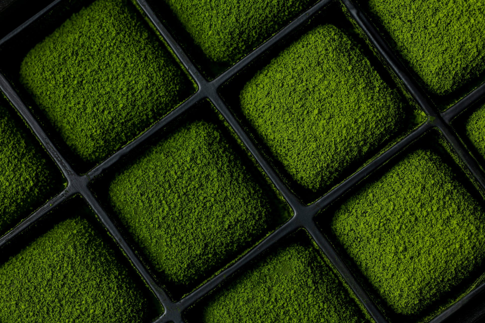 川久ミュージアム初となる大型個展 | 石田延命所「異界」展　閉幕