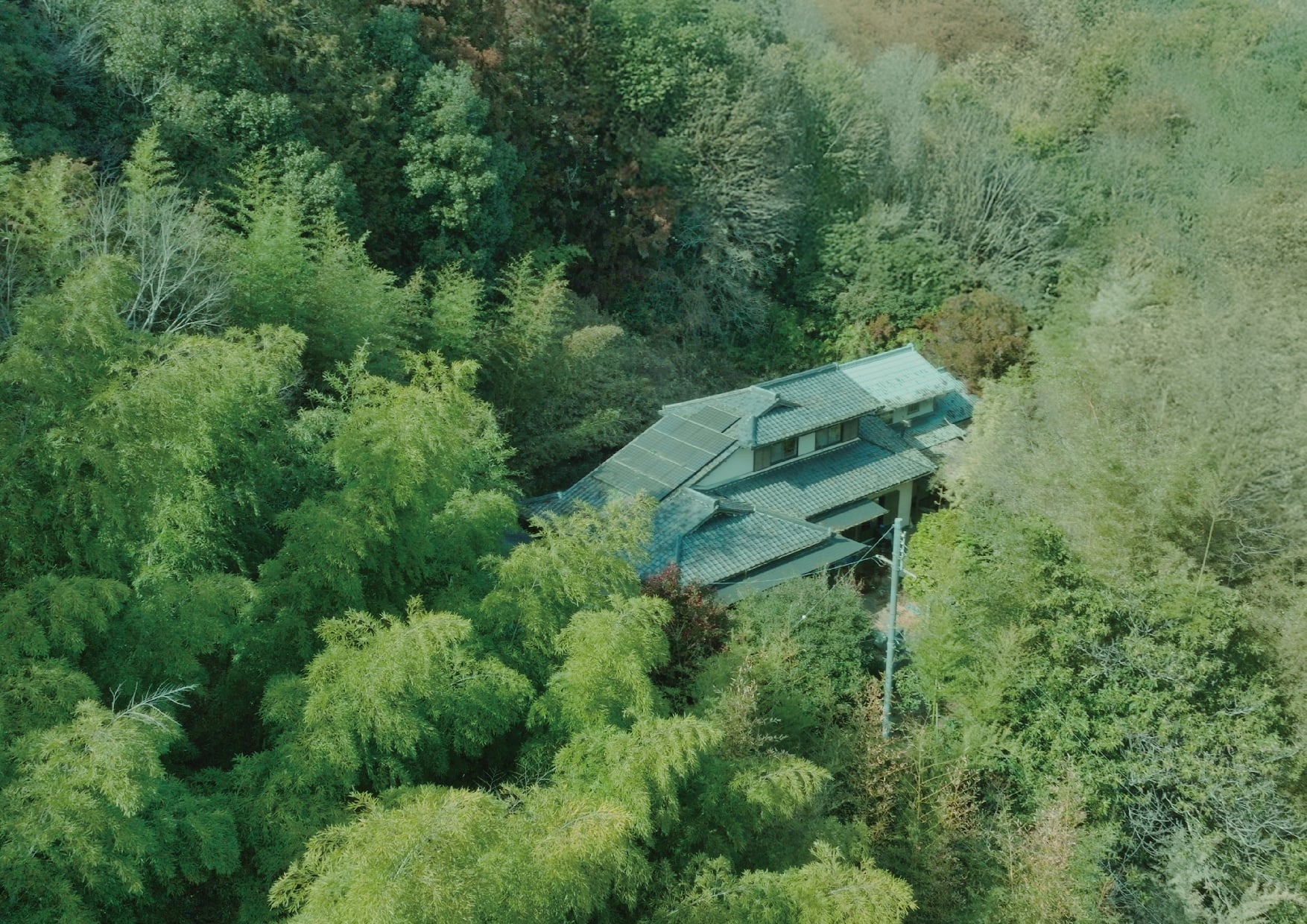 【2026年3月12日サイト公開】世田谷のマンションを売却し約7,000㎡の森付き古民家を購入。奈良・月ヶ瀬で都市と里山をつなぐ「ときめきウエルネス」事業始動。