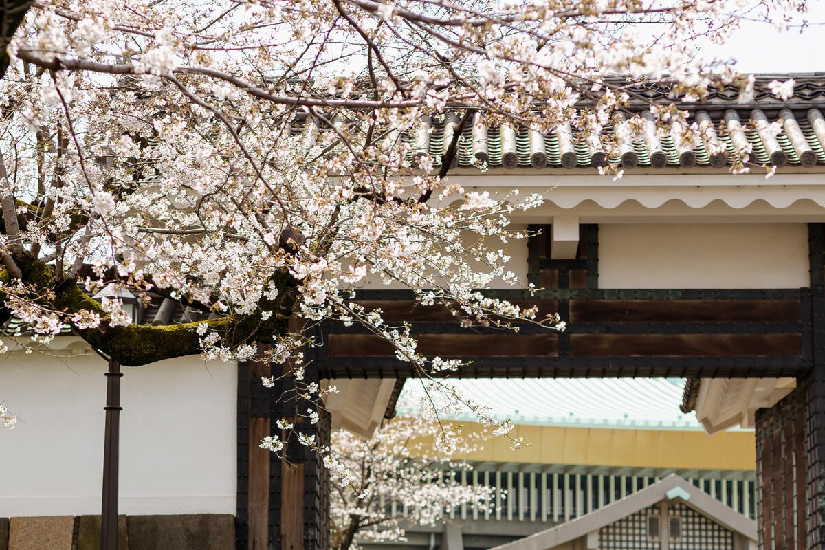 今年の春は新しい自分に出会う桜旅へ。女性ゲストの傾向から見るトラベルトレンドとおすすめ宿泊施設