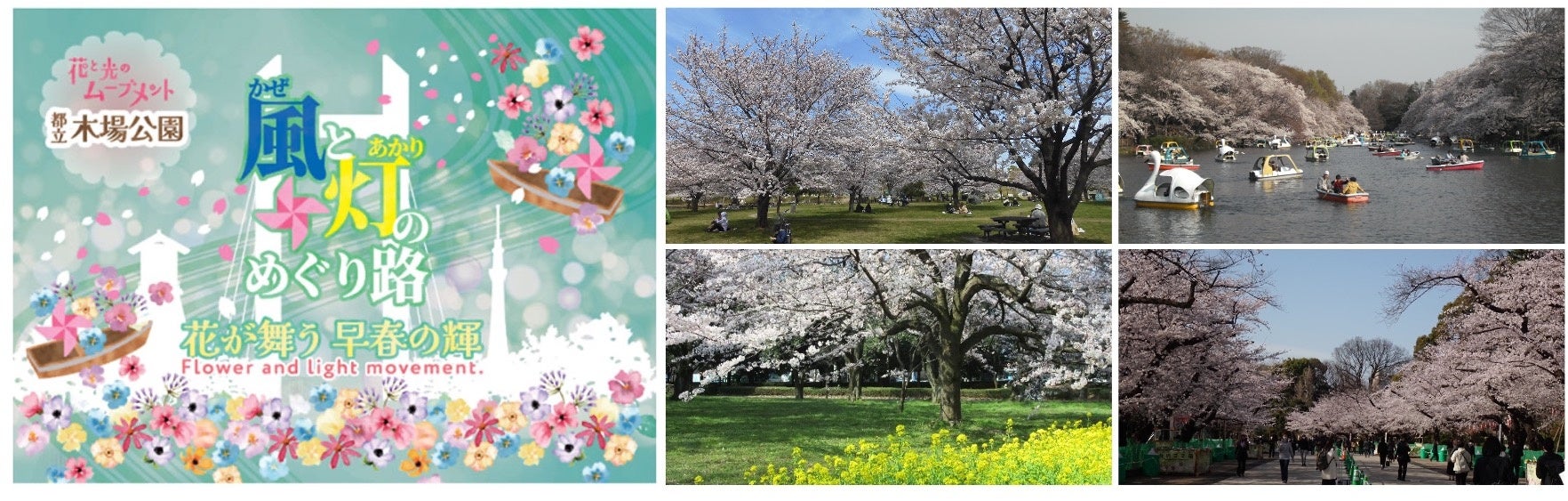 東京グリーンビズマップで巡る、都内の桜とお花見スポット