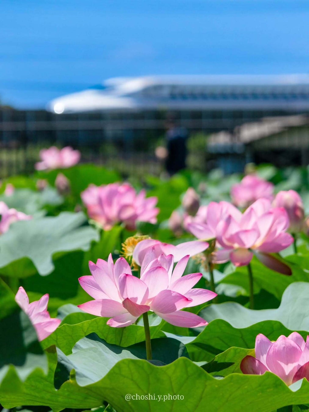「東急ステイ渋谷 恵比寿」 2026 年 3 月 17 日(火)開業広域渋谷圏のハブとなる“都市滞在の拠点”へ