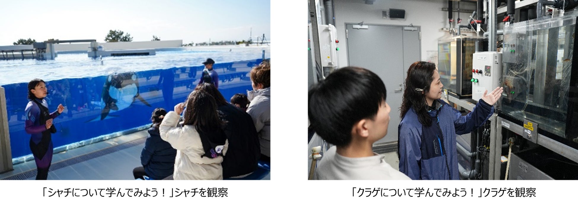 「東急ステイ渋谷 恵比寿」 2026年3月17日(火)開業 広域渋谷圏のハブとなる“都市滞在の拠点”へ