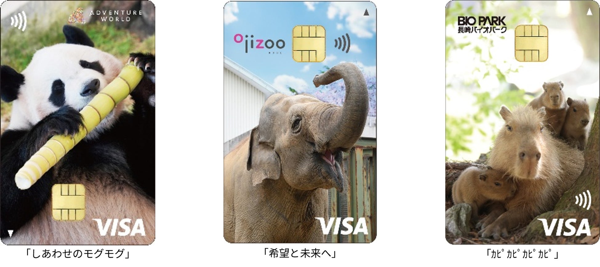 動物たちにごはんが届く！「どうぶつエポスカード」2026年3月20日（金・祝）発行開始