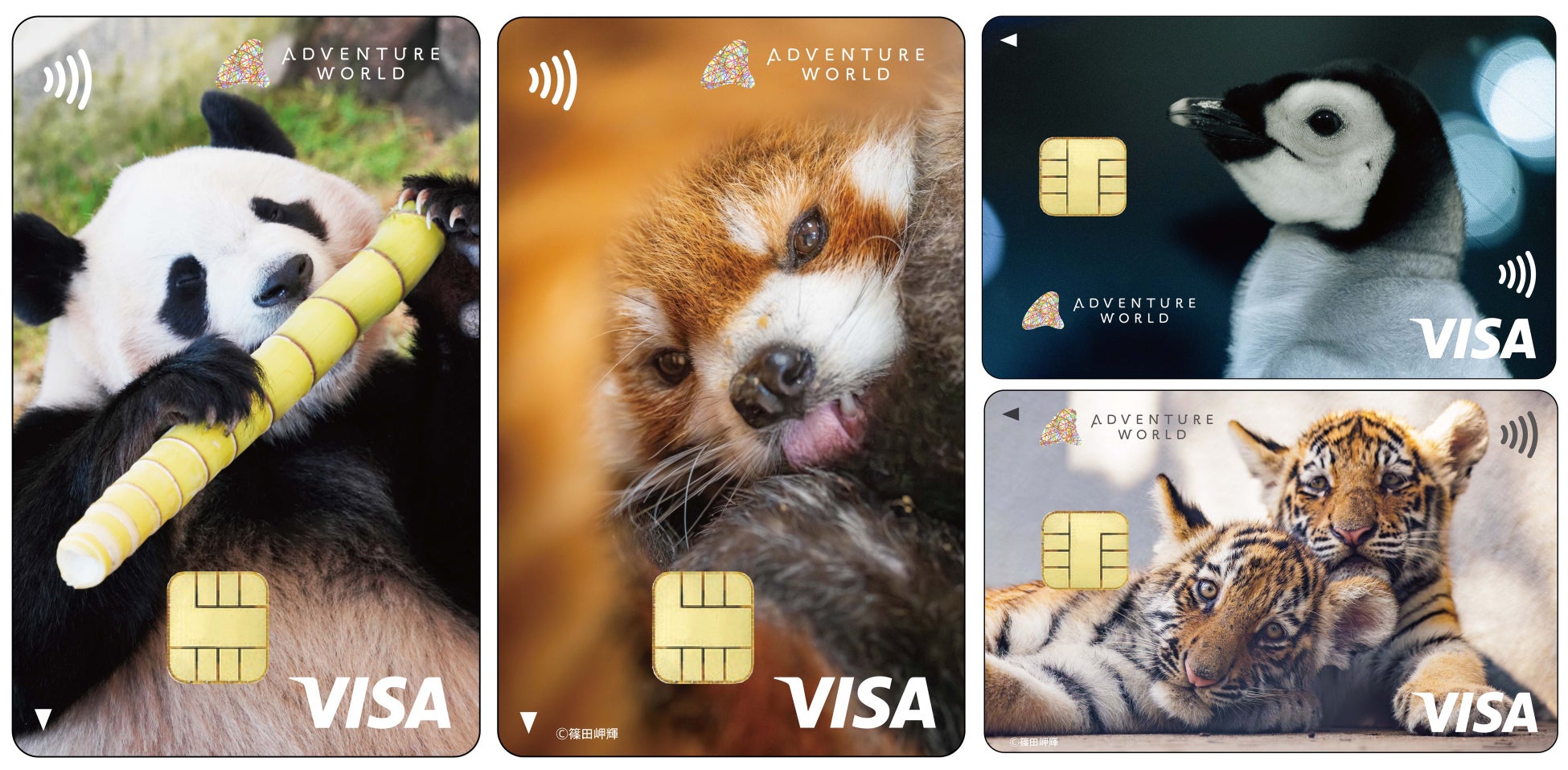 動物たちにごはんが届く！大好きな動物たちと、ずっとつながる！丸井グループとアドベンチャーワールドがコラボレーション「どうぶつエポスカード」３月２０日（金・祝）発行開始！