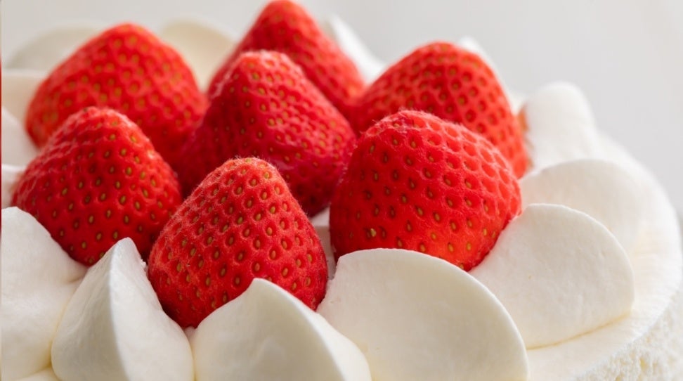 【登別石水亭】入学おめでとうプランのご案内