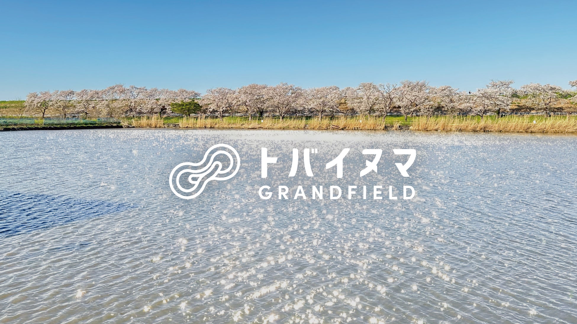 【埼玉・川島町】桜並木のアウトドア施設「トバイヌマGRAND FIELD」開業サウナ付きグランピング「Earthboat」首都圏初進出