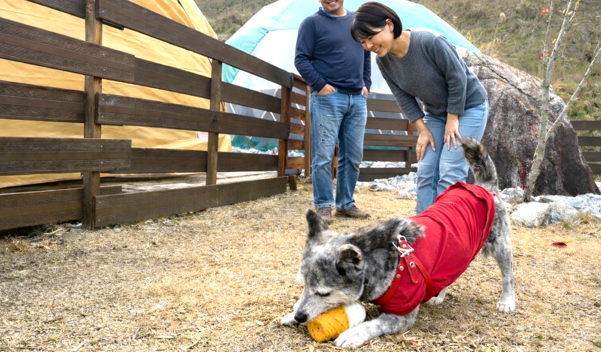 【福岡県朝倉市】杷木松末アウトドアヴィレッジが新設備「プライベートドッグラン付き客室」の提供を開始