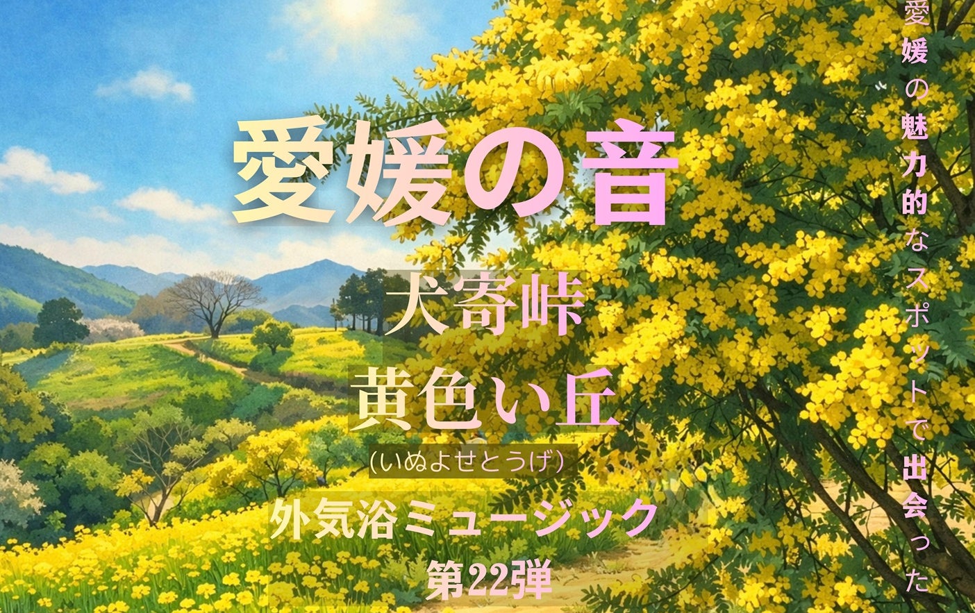 愛媛の春を告げる“黄色の丘”の音を収録「愛媛の音」第22弾　犬寄峠・黄色い丘ミモザと菜の花が咲く春の自然音を3月16日リリース【愛媛・松山市】