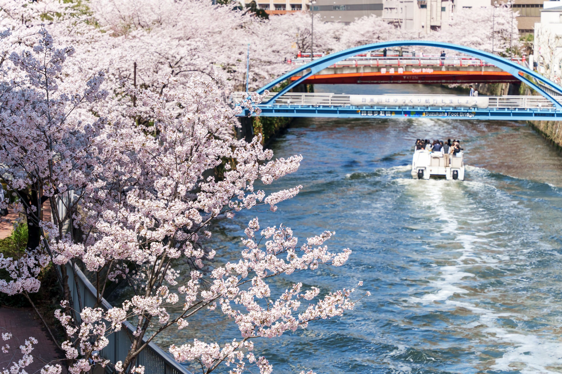 【目黒川お花見クルーズ】予約好調につき緊急増便