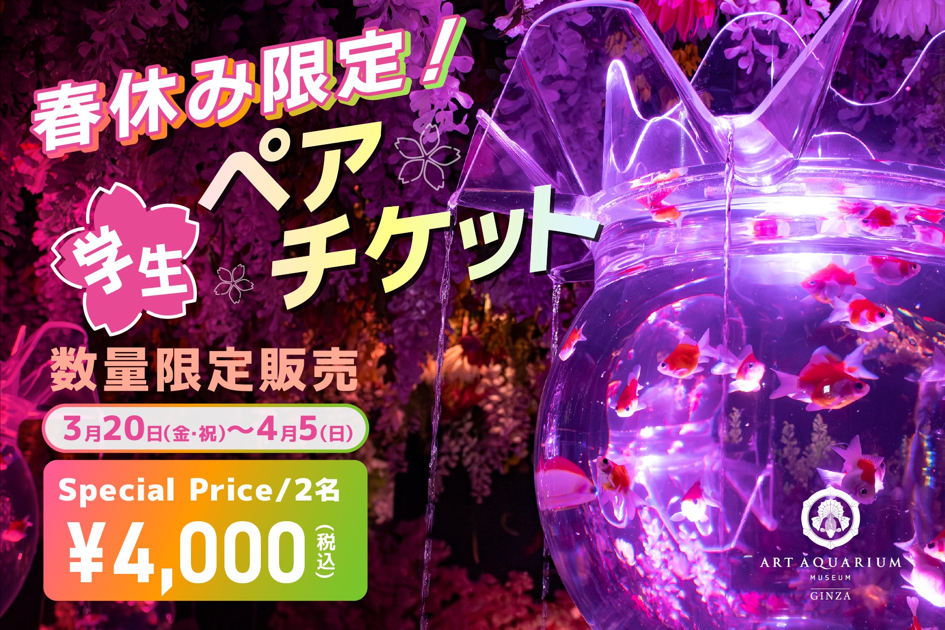 春休み！学生だけの特別価格でアートアクアリウム美術館を楽しもう 春の学生ペアチケットを販売！