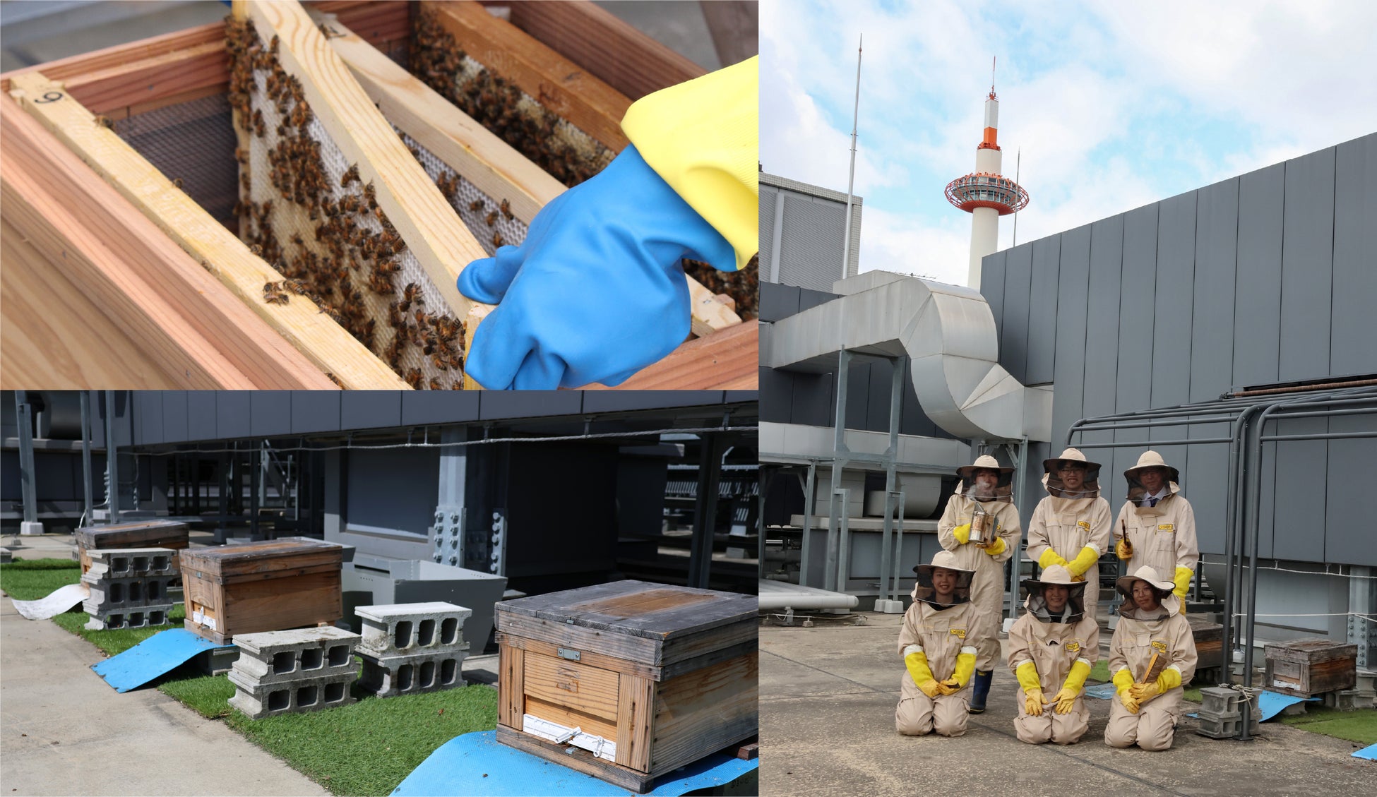 SDGsを学ぶ“都市養蜂見学ツアー”4月2日(木)開催