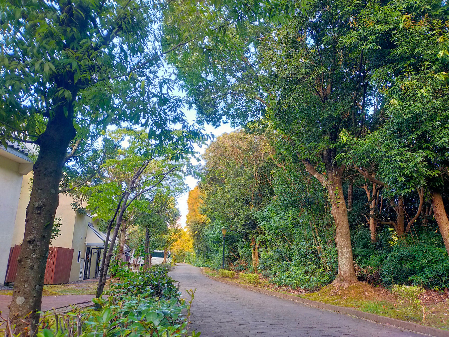 ハウステンボスの森と運河が環境省の「自然共生サイト」に認定