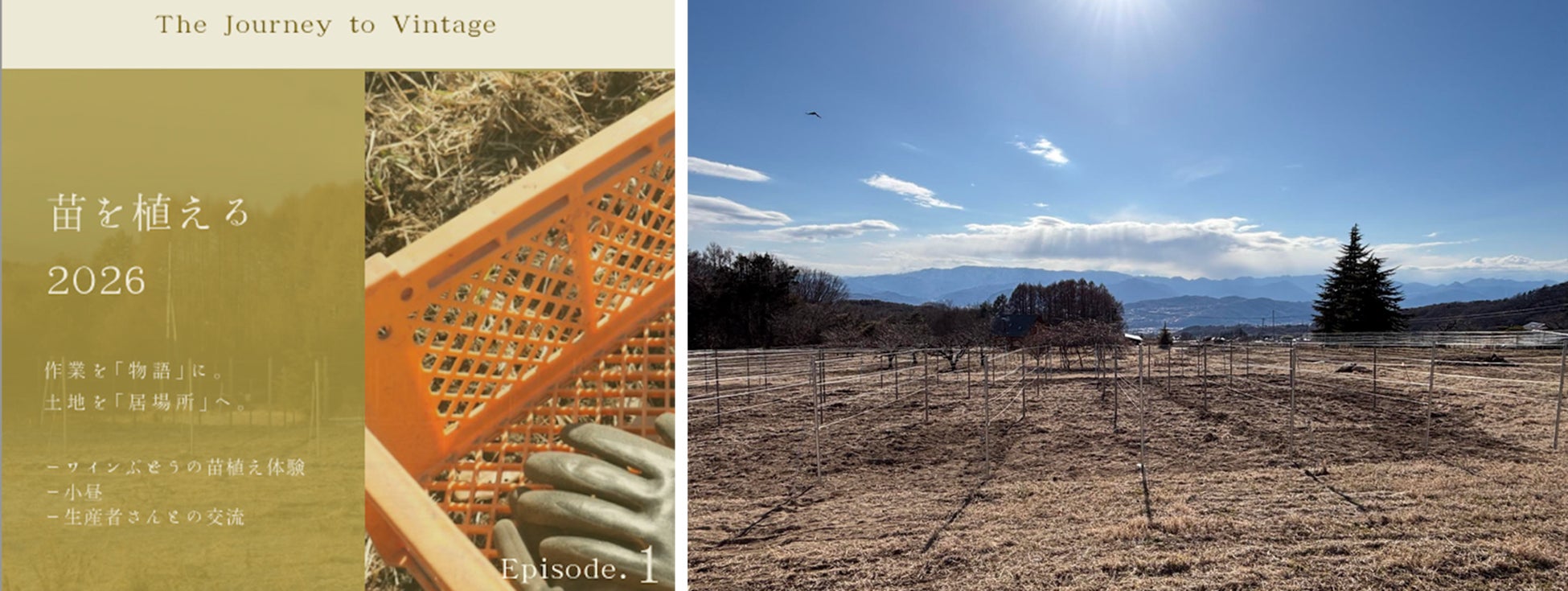 2027年開業の会員制ホームワイナリー「ラ・メゾン・リュスティック」ワイナリー誕生への第一歩。土地を「居場所」に変える苗植え体験を開催