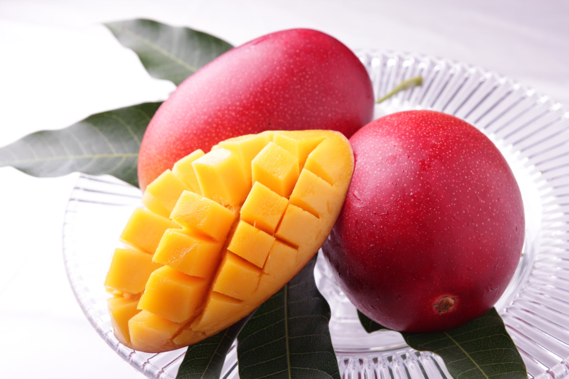 糖度15度以上！完熟マンゴー最高級ブランド「太陽のタマゴ」 は４月に販売解禁！