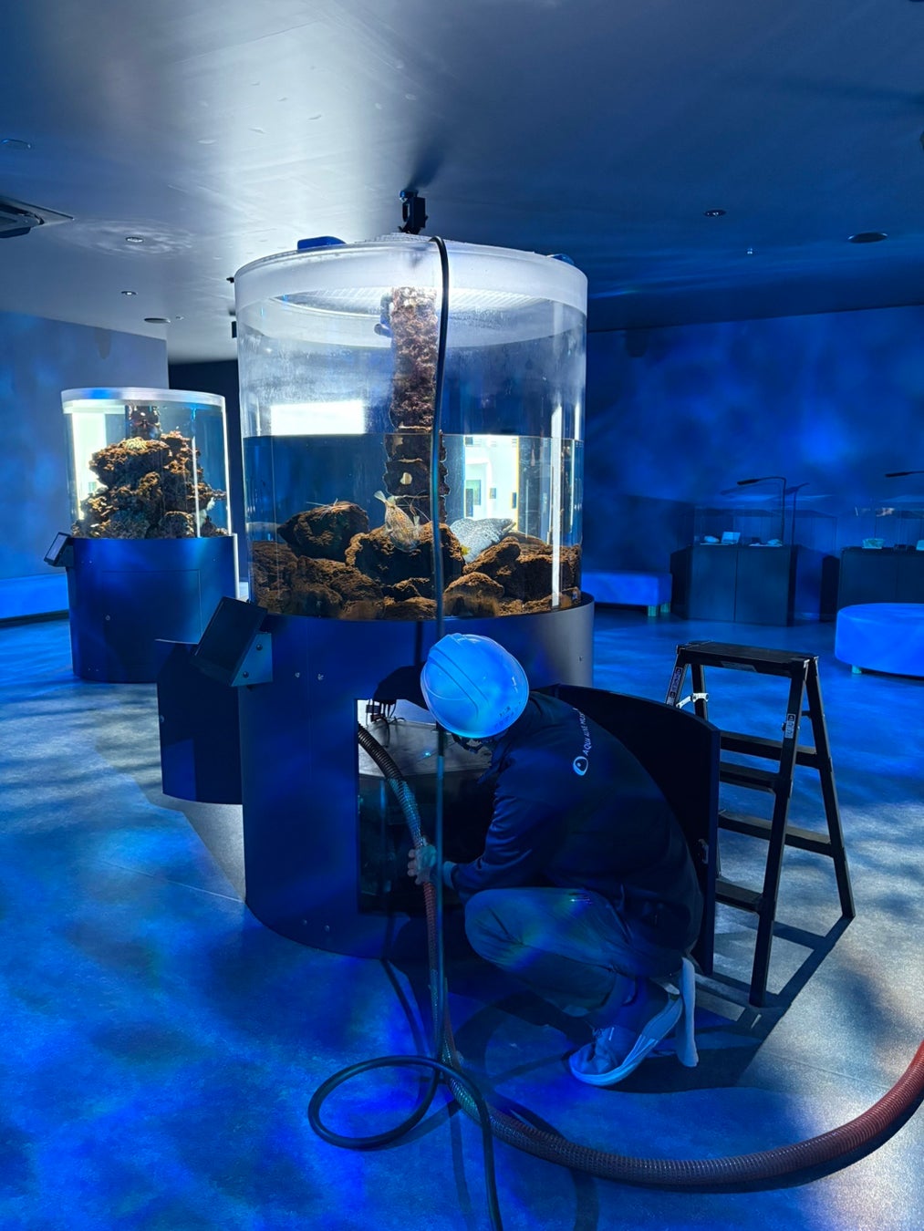 【広島もとまち水族館】大人の社会見学！？～閉館後「のぞき見ツアー」～開催！