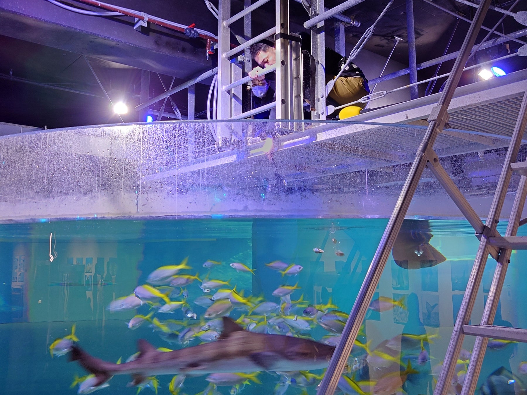 【(株)ジェイアールサービスネット広島】～ミナモア開業1周年記念 イベント開催～