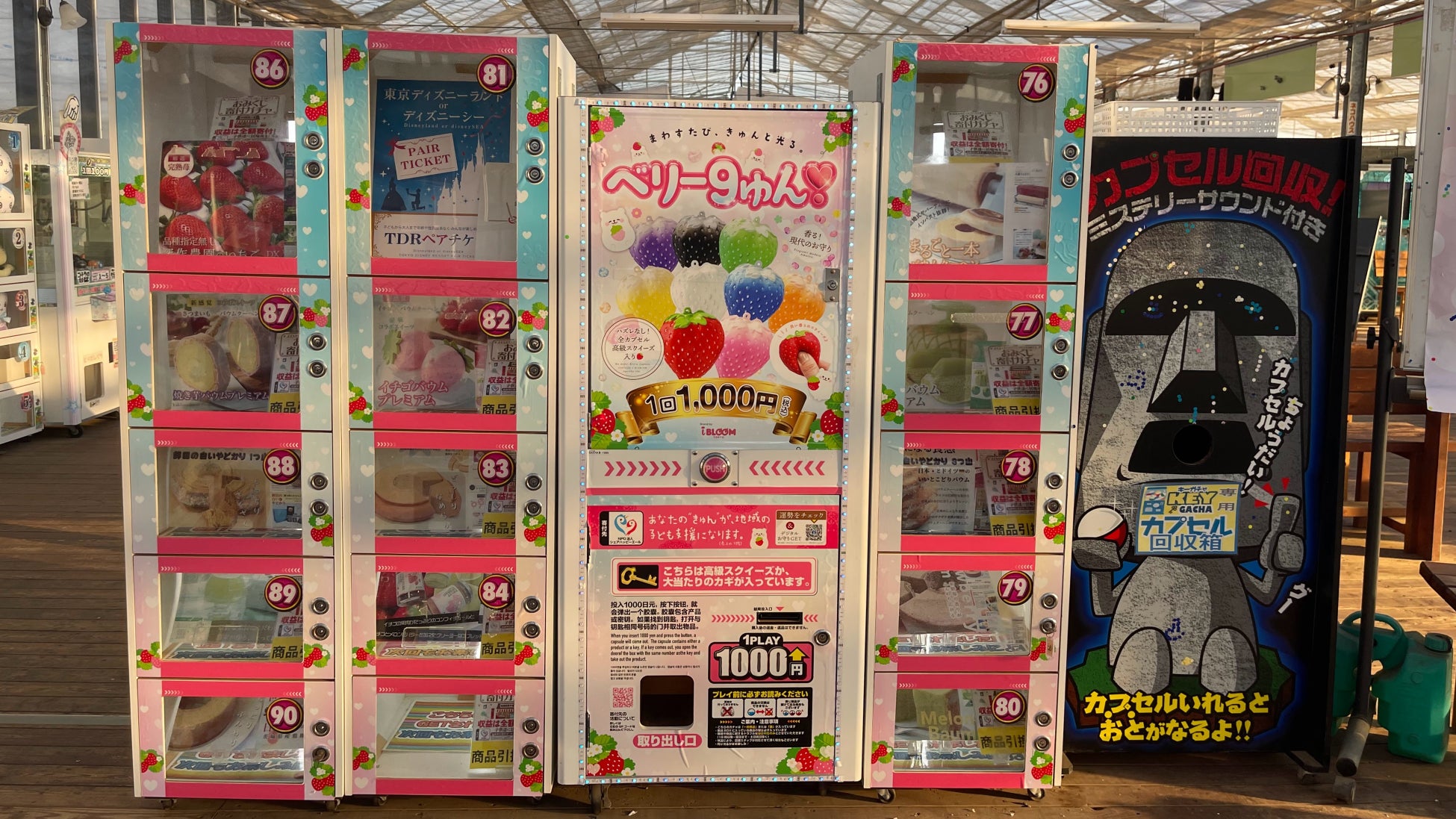 楽しみながら寄付する新時代へ。「ハズレなし」推し活×スピ活×社会貢献、9色の開運いちごスクイーズ寄付ガチャ『ベリー9ゅん❣』が深作農園（茨城県鉾田市）で始動！